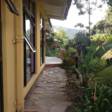Jungle Monkey Backpackers Hostel Port Saint John's Exterior photo