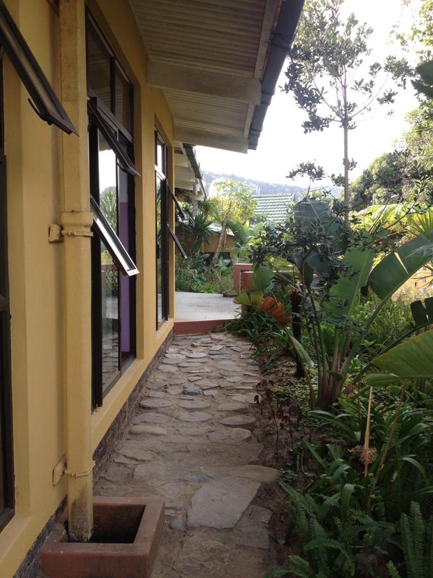 Jungle Monkey Backpackers Hostel Port Saint John's Exterior photo