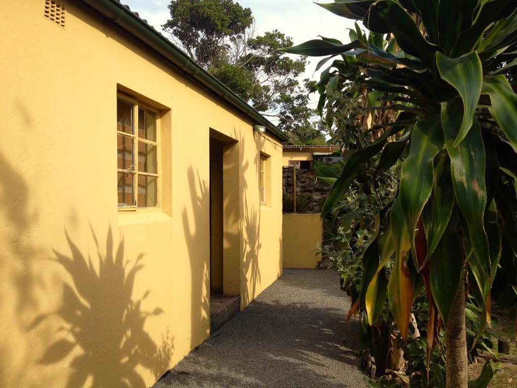 Jungle Monkey Backpackers Hostel Port Saint John's Room photo