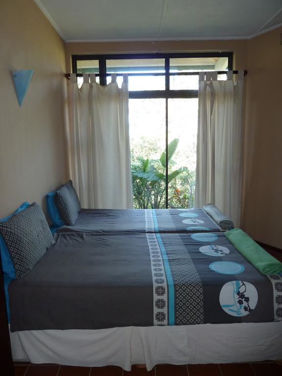 Jungle Monkey Backpackers Hostel Port Saint John's Room photo