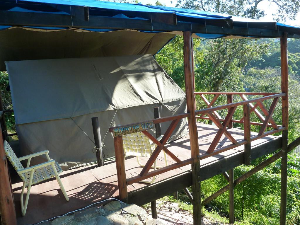 Jungle Monkey Backpackers Hostel Port Saint John's Room photo
