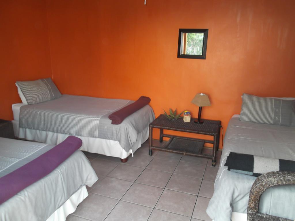 Jungle Monkey Backpackers Hostel Port Saint John's Exterior photo